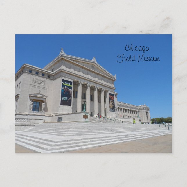 Chicago Field Museum Postcard (Front)