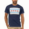 Chicago Flag