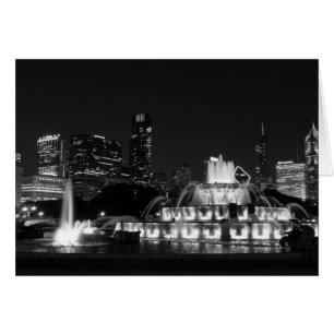 Chicago Grant Park Grayscale