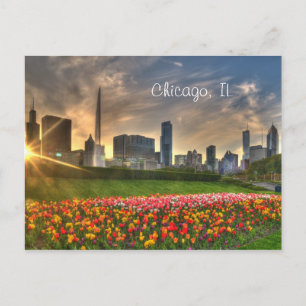 Chicago, IL Postcard