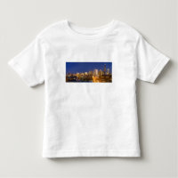 Chicago, Illinois, skyline shot from West Loop