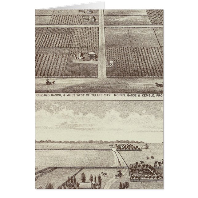 Chicago, Kay ranches (Front)