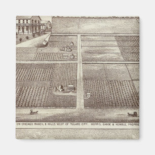 Chicago, Kay ranches Magnet