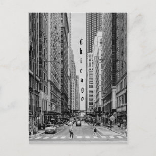 Chicago Madison Street Grayscale Postcard