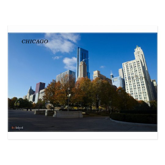 Chicago - Millennium Park Postcard