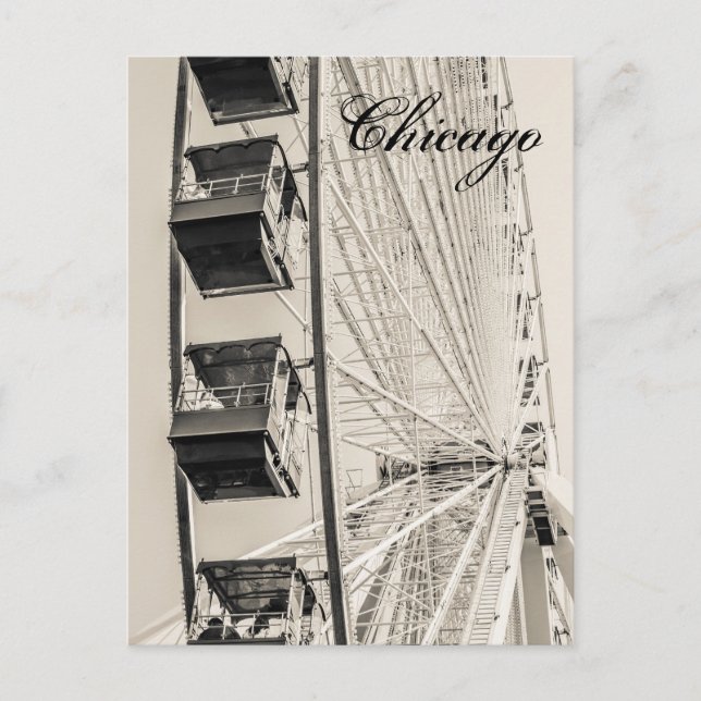 Chicago Navy Pier Ferris Wheel Postcard (Front)