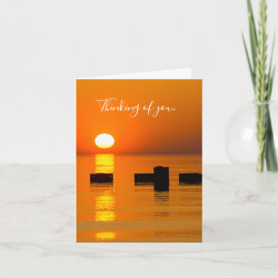 Chicago Orange Galore Morning Thinking Of You Card