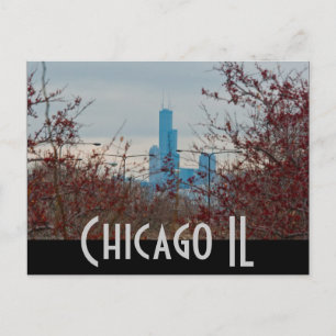 chicago postcard