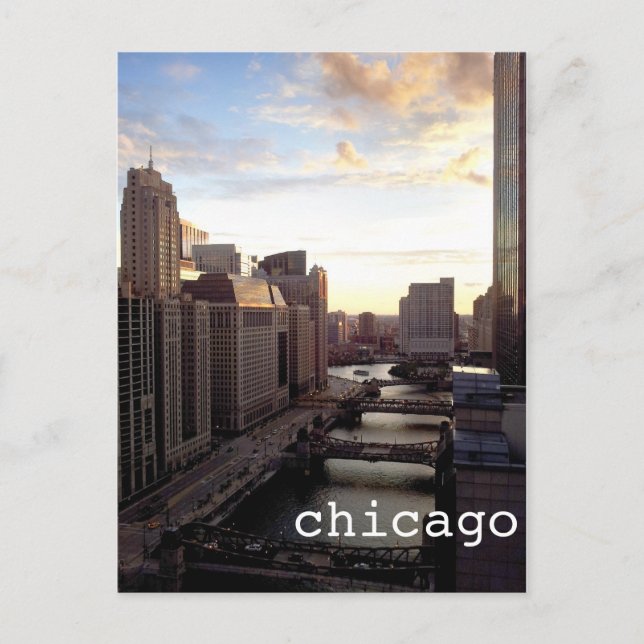 Chicago River View from Marina City Postcard (Front)