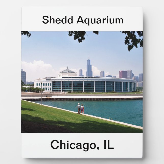 Chicago Shedd Aquarium collection Plaque (Front)