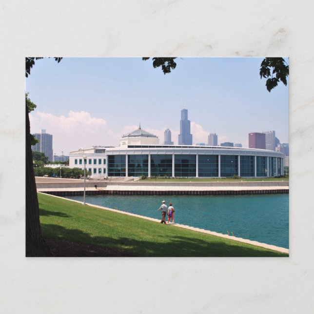 Chicago Shedd Aquarium collection Postcard (Front)