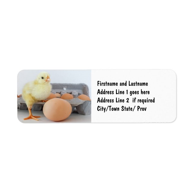 Chick and Egg Carton with Brown Egg (Front)