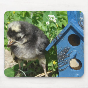 Chick and Mixed Media Birdhouse Mouse Mat