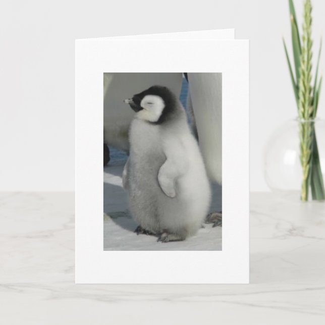 Chick Chat - penguin style Card (Front)