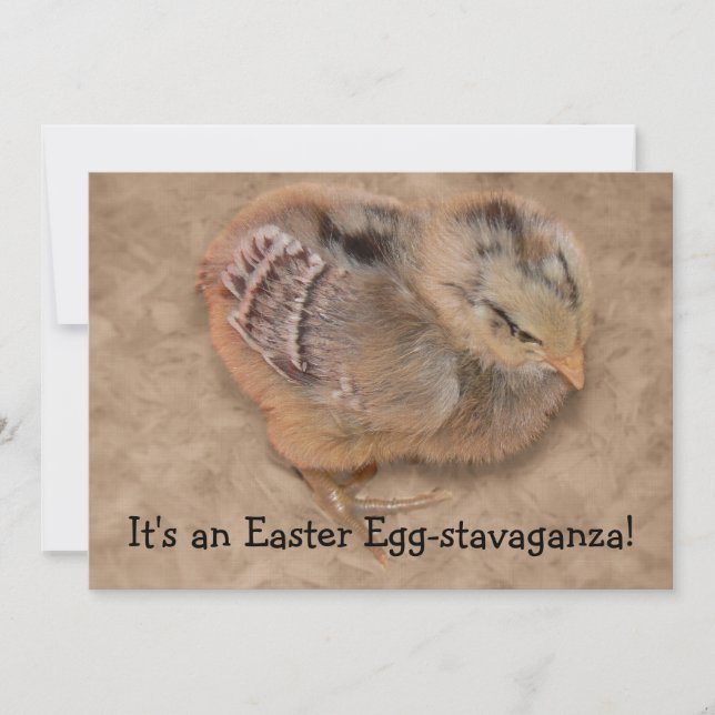 Chick - Fluffy Baby Chicken Easter Invitation (Front)