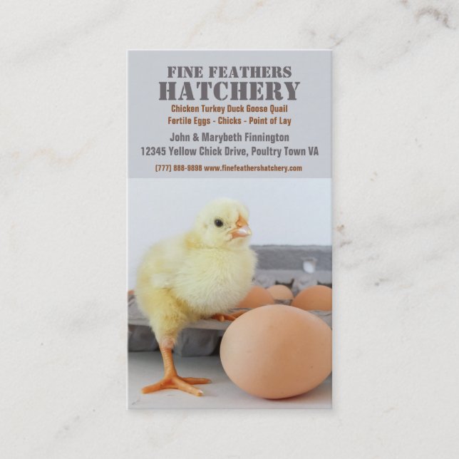 Chick in Egg Carton Chicken Hatchery Business Card (Front)