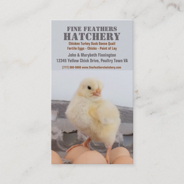 Chick in Egg Carton Chicken Hatchery Business Card (Front)