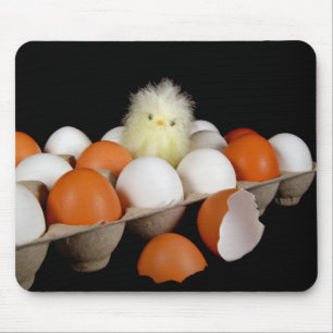 Chick in Egg Carton Mouse Mat