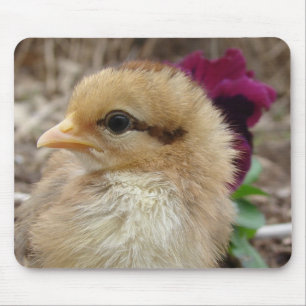 Chick in Pansy Garden Mouse Mat