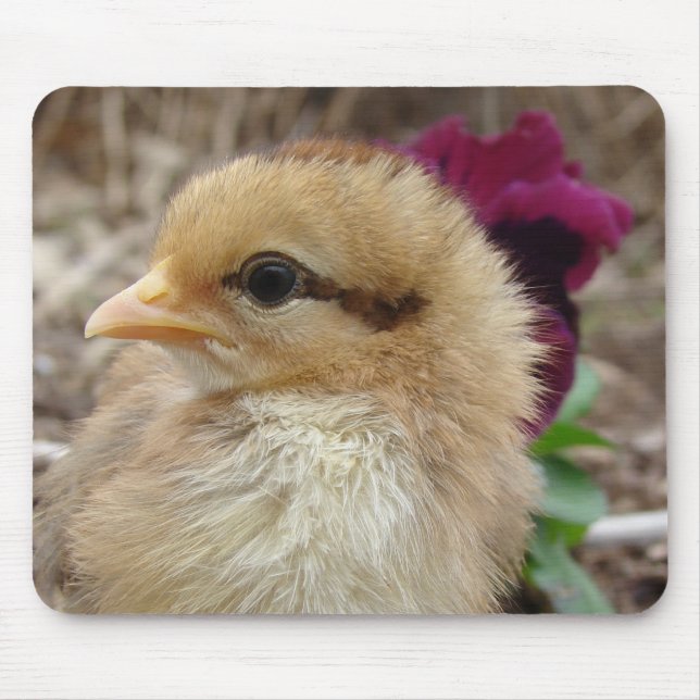 Chick in Pansy Garden Mouse Mat (Front)