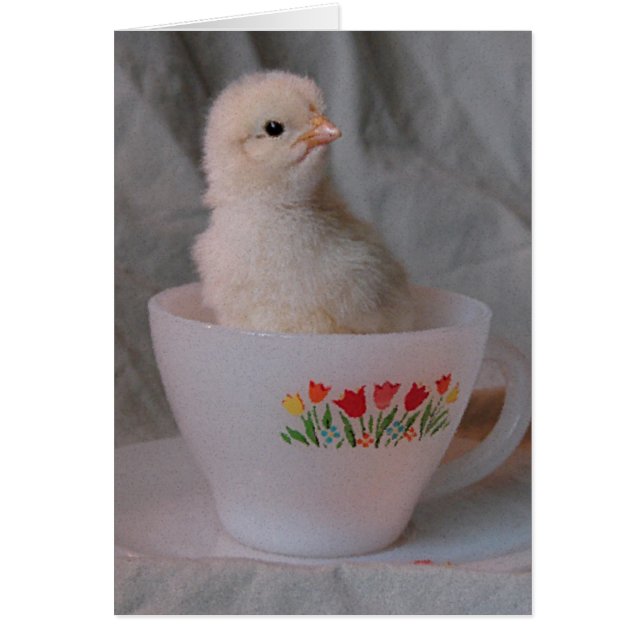 Chick in Vintage Teacup (Front)