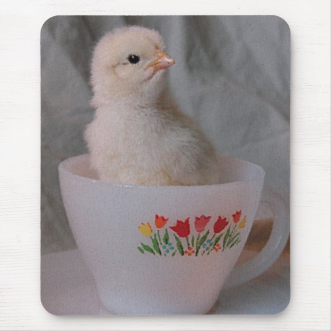 Chick in Vintage Teacup Mouse Mat (Front)