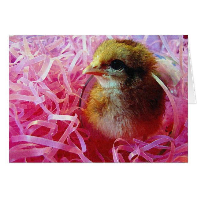 Chick in Wine Glass (Front Horizontal)