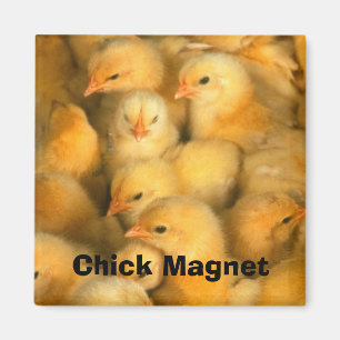 Chick Magnet
