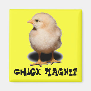 Chick Magnet