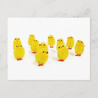 Chick magnet chillin with my peeps funny photo