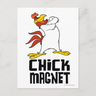 Chick Magnet Postcard