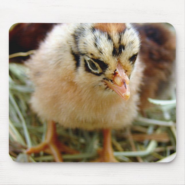 Chick Mouse Mat (Front)