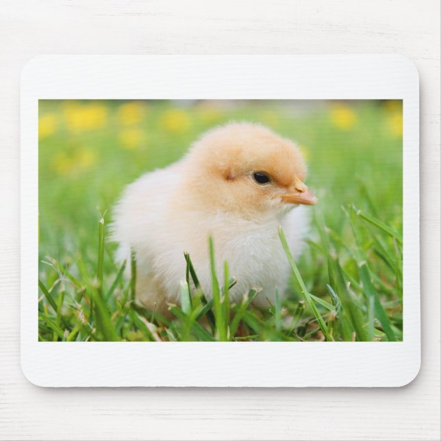 Chick Mouse Mat (Front)