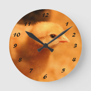 Chick Round Clock