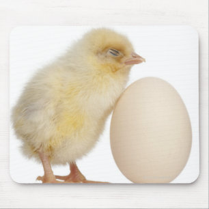 Chick with egg (2 days old) mouse mat