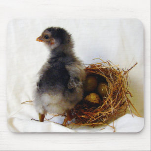 Chick With Nest Mouse Mat