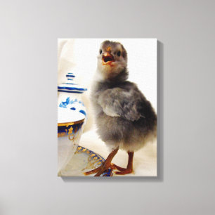 Chick with Teacup Canvas Print