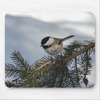 Chickadee 2 mouse mat