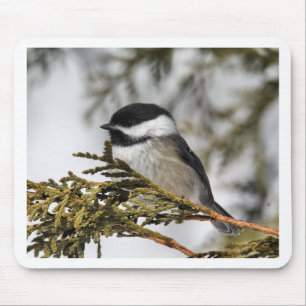Chickadee_9505 Mouse Mat