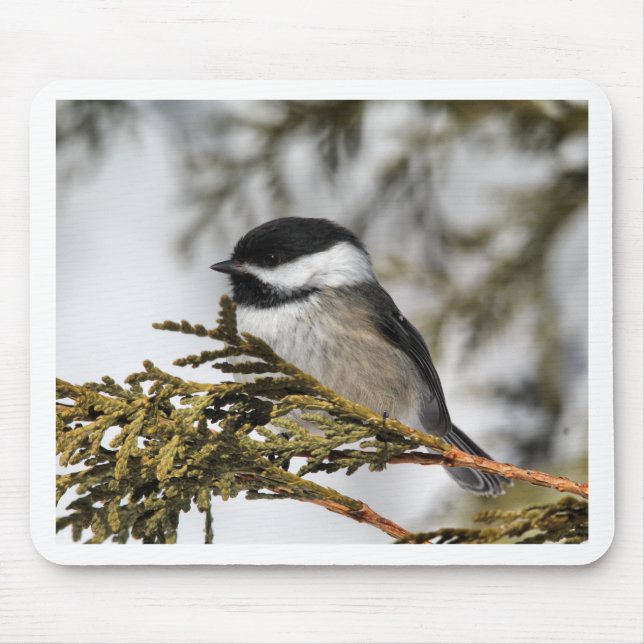 Chickadee_9505 Mouse Mat (Front)