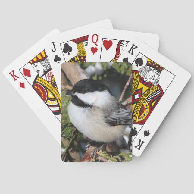 Chickadee_9530 Playing Cards (Back)
