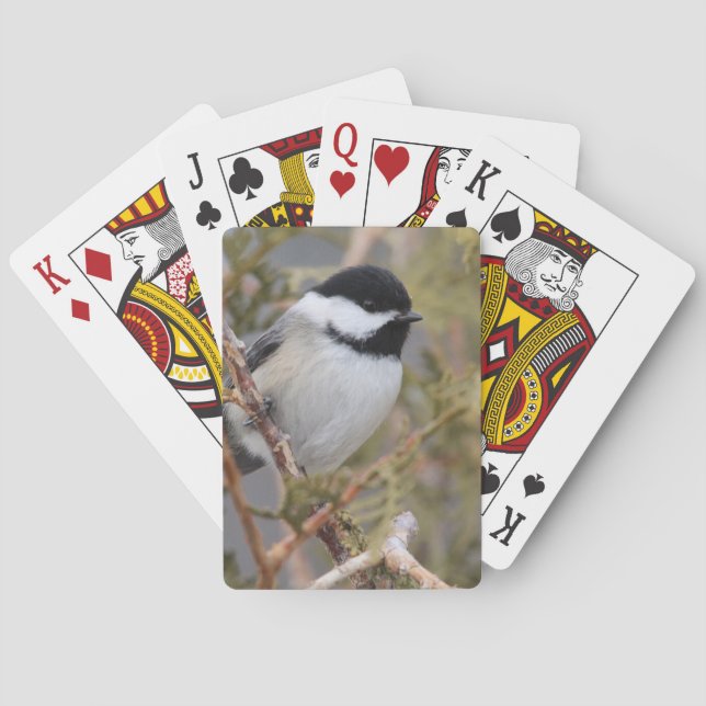 Chickadee_9654 Playing Cards (Back)