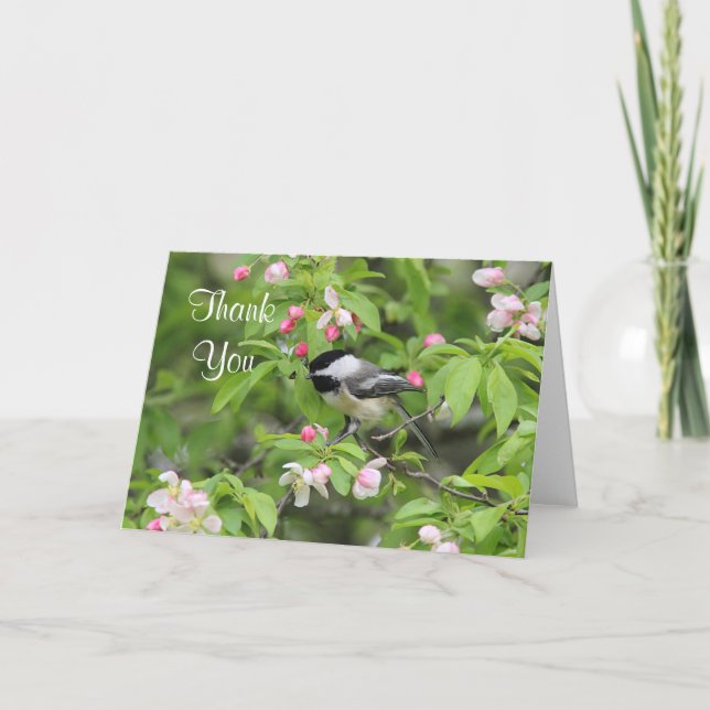 Chickadee and spring blossoms thank you card (Front)