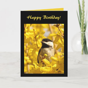 Chickadee Bird in Yellow Flowers Birthday Card