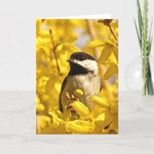 Chickadee Bird in Yellow Flowers Blank Card