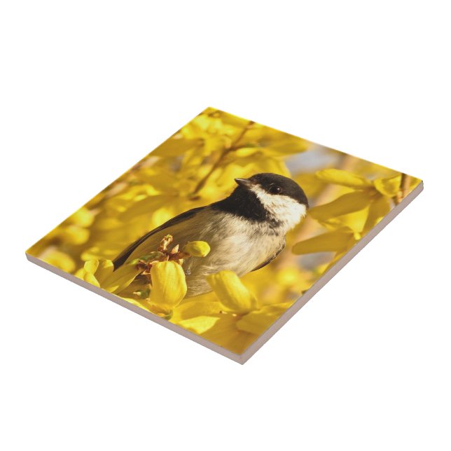 Chickadee Bird in Yellow Flowers Ceramic Tile (Side)