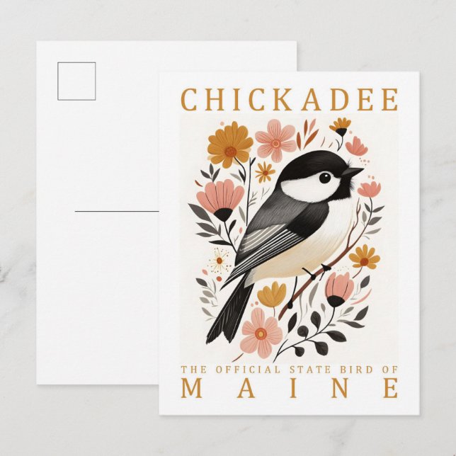 Chickadee Bird of Maine USA Travel Postcard (Front/Back)
