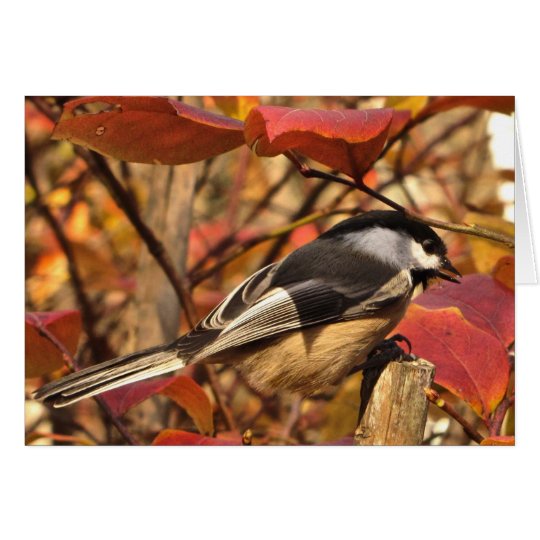 Chickadee Bird with Pink Autumn Leaves Birthday Card