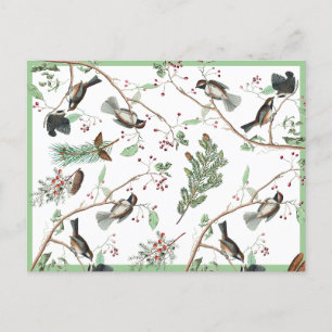 Chickadee Birds Berries & Pinecones Watercolor  Holiday Postcard