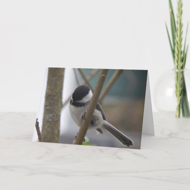 Chickadee Birthday Card (Front)